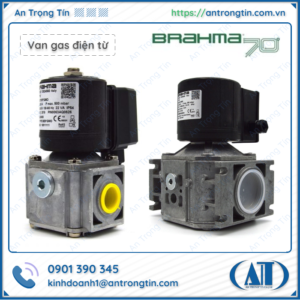 Van điện từ Brahma EG12