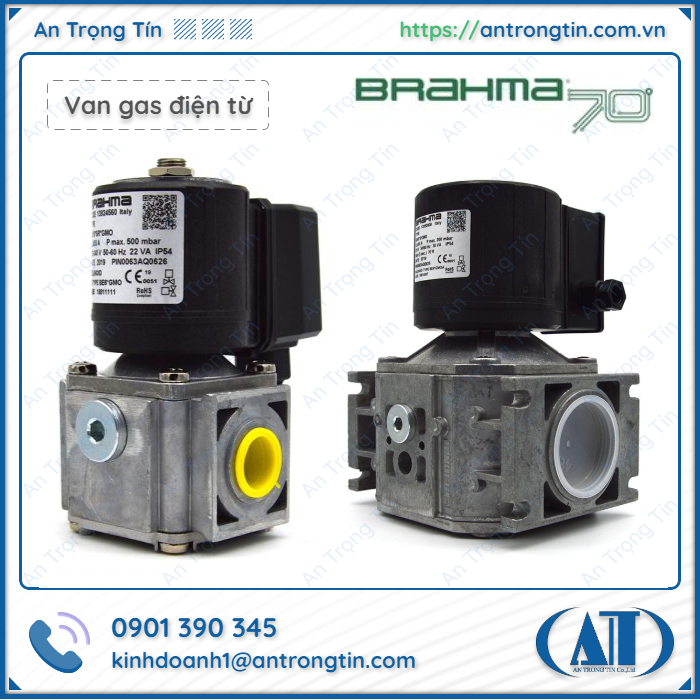 Van điện từ Brahma EG12