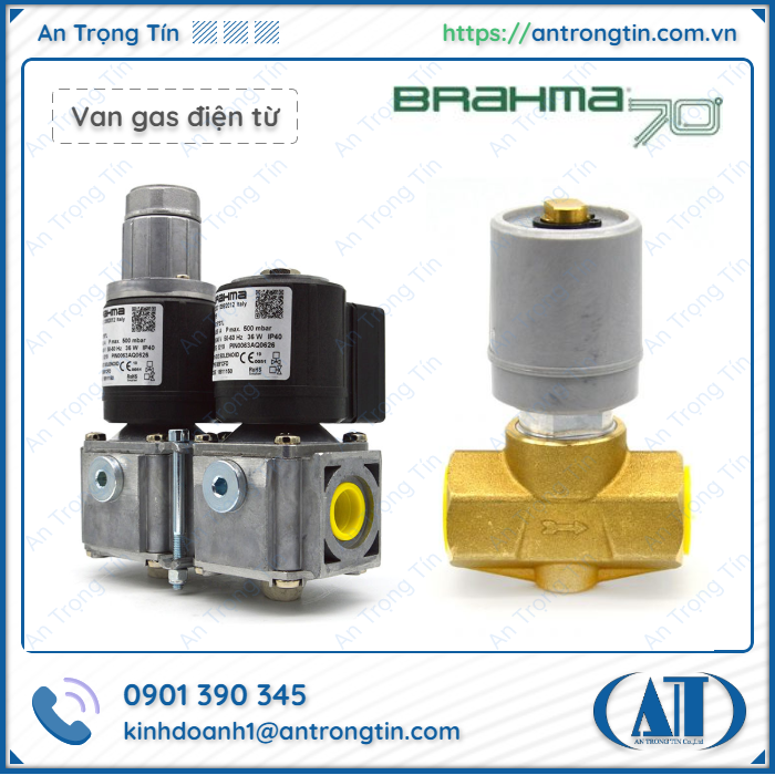 Van điện từ Brahma EG12